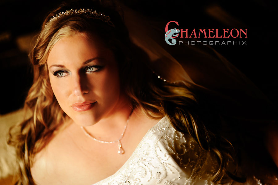 042-1 042 1 - Chameleon Photographix