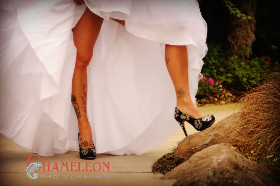 045 045 - Chameleon Photographix