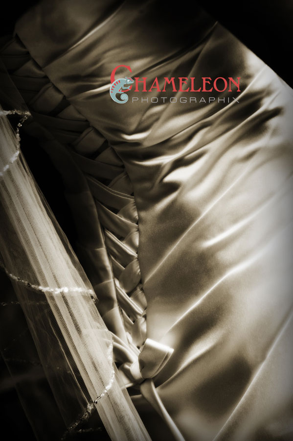 064 064 - Chameleon Photographix