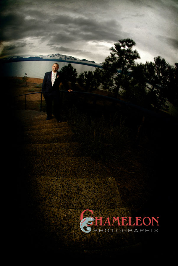 114_1 114 1 - Chameleon Photographix