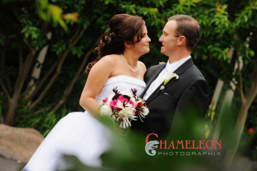 256 256 - Chameleon Photographix