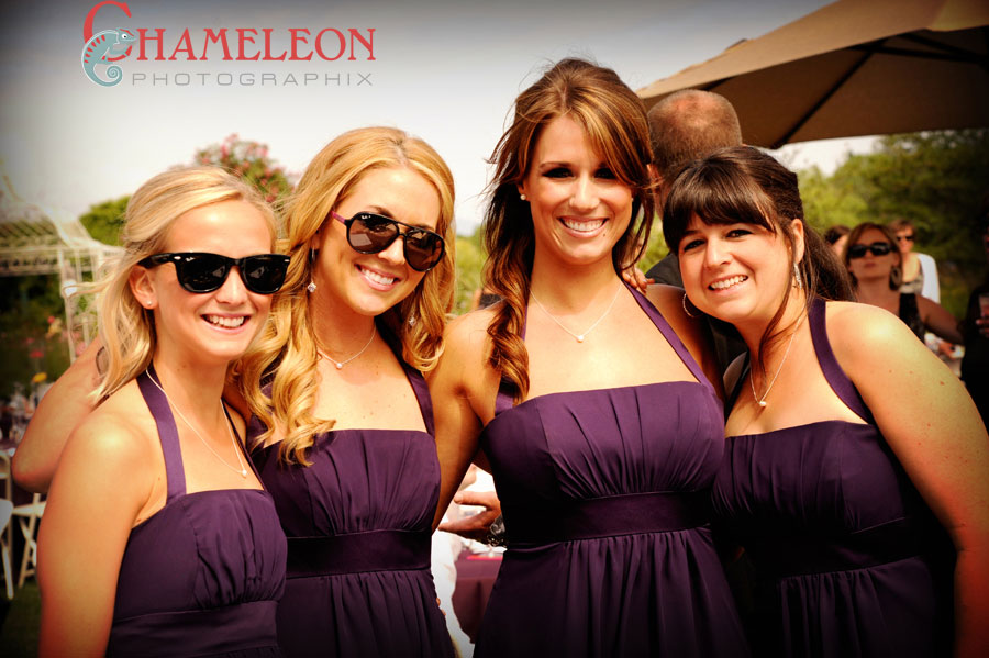 258 258 - Chameleon Photographix