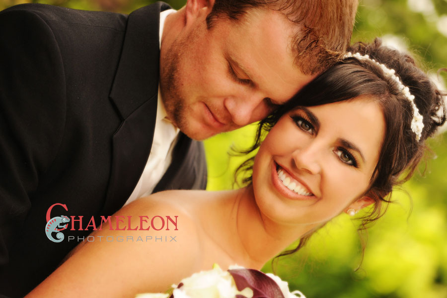 329 329 - Chameleon Photographix