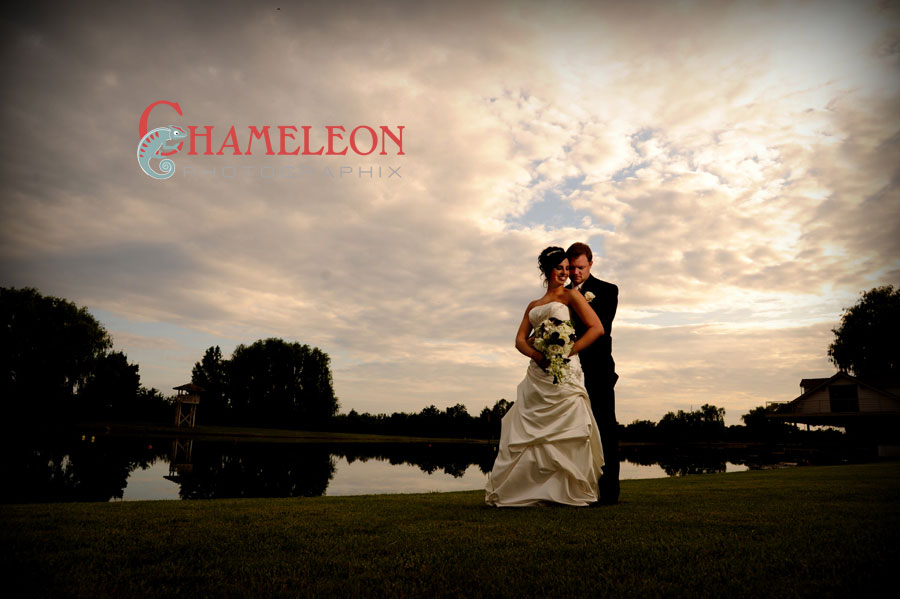 433 433 - Chameleon Photographix