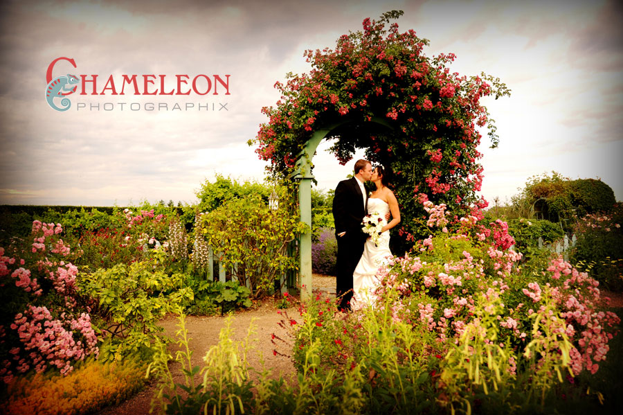 438 438 - Chameleon Photographix