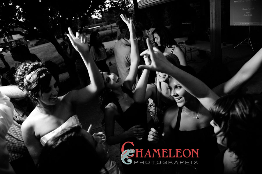 448 448 - Chameleon Photographix