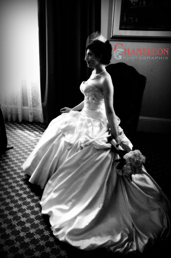 Dsc_2578 Dsc 2578 - Chameleon Photographix