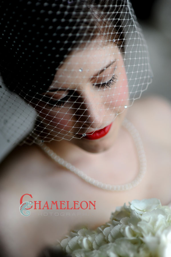 Dsc_2630-Copy Dsc 2630 Copy - Chameleon Photographix