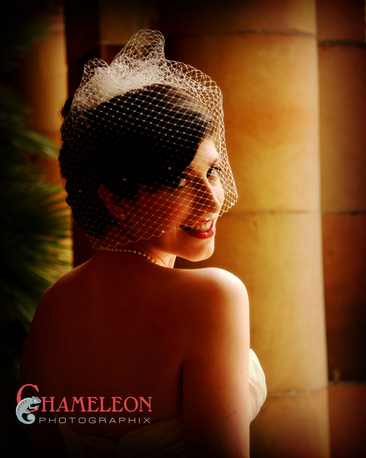 Dsc_2705 Dsc 2705 - Chameleon Photographix