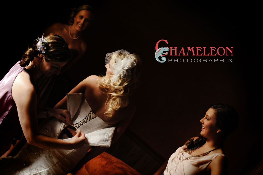 0279 0279 - Chameleon Photographix