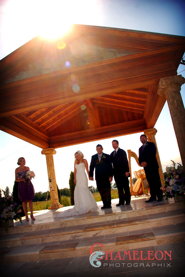 0853 0853 - Chameleon Photographix