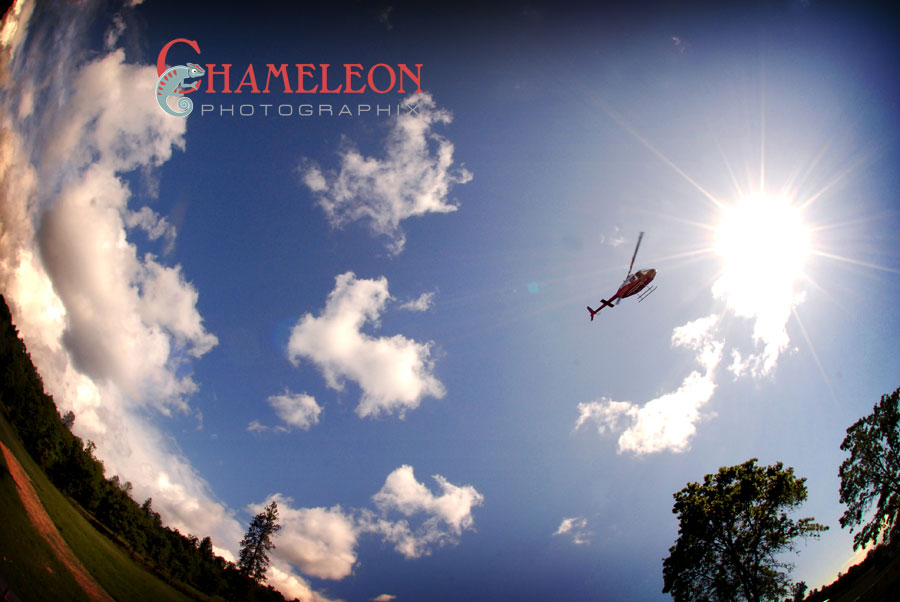 220 220 - Chameleon Photographix