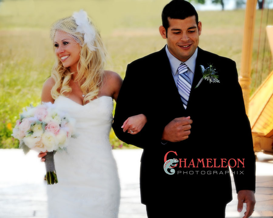 268 268 - Chameleon Photographix