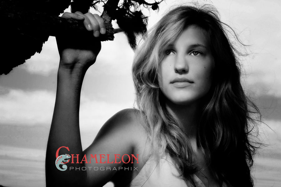 Dsc_5013 Dsc 5013 - Chameleon Photographix
