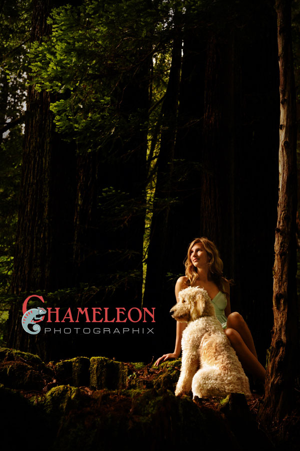 Dsc_5048 Dsc 5048 - Chameleon Photographix