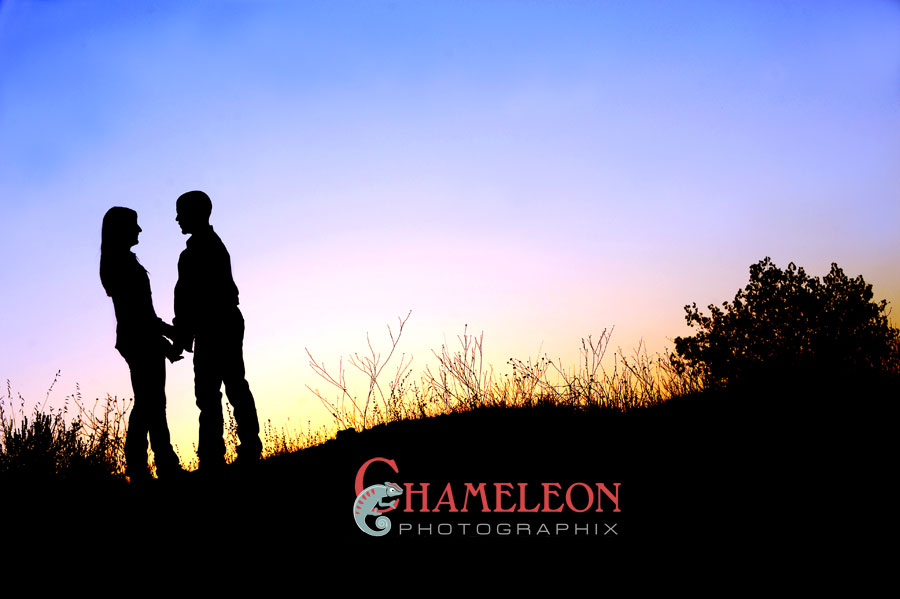 0017 0017 - Chameleon Photographix
