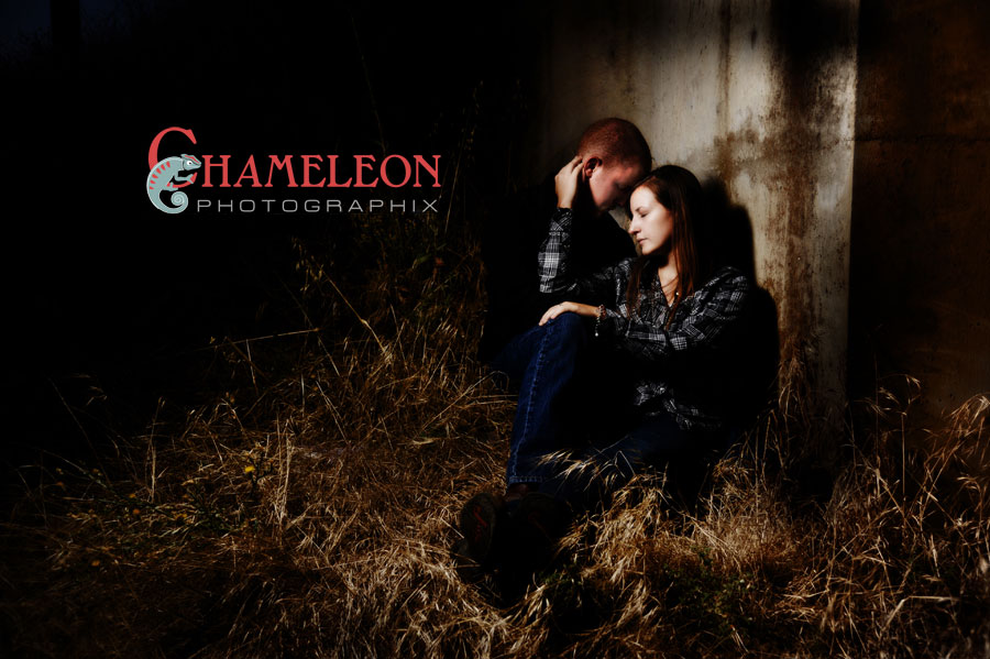 Dsc_9101 Dsc 9101 - Chameleon Photographix
