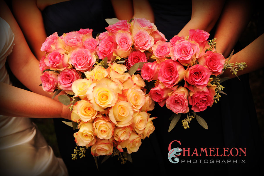 015 015 - Chameleon Photographix