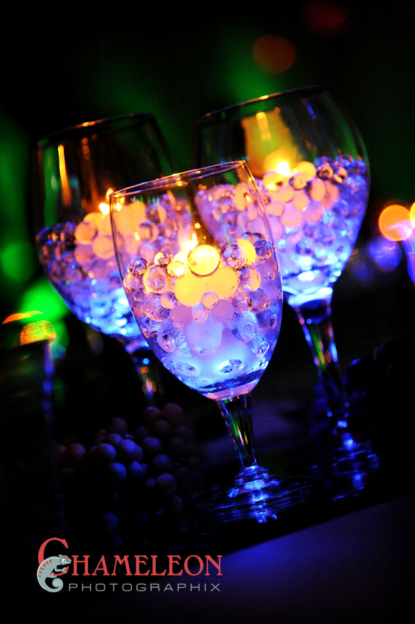 Dsc_0542 Dsc 0542 - Chameleon Photographix
