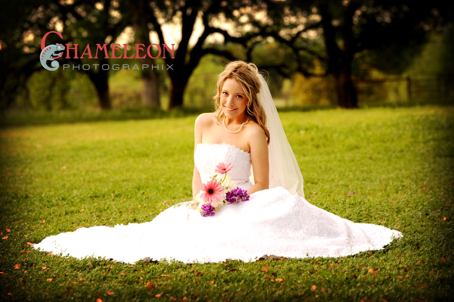 Dsc_9924 Dsc 9924 - Chameleon Photographix