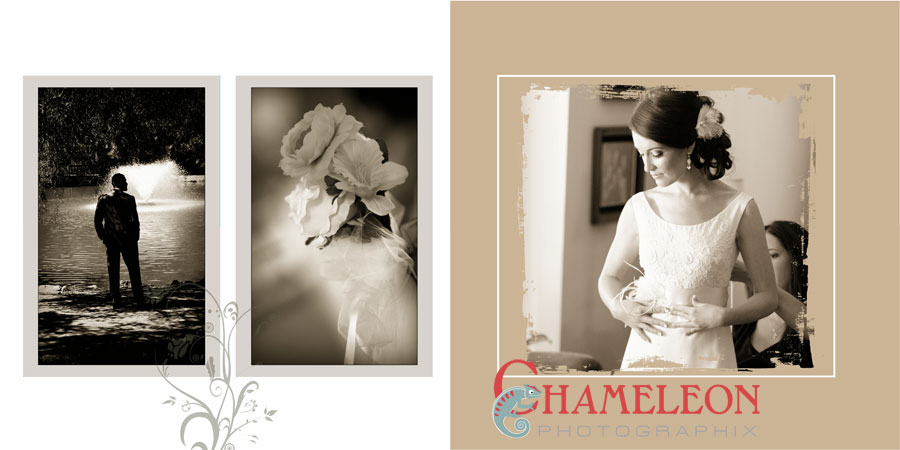 Page001 Page001 - Chameleon Photographix