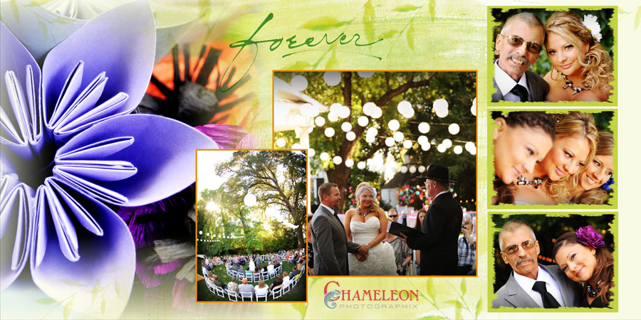 Page014 Page014 - Chameleon Photographix