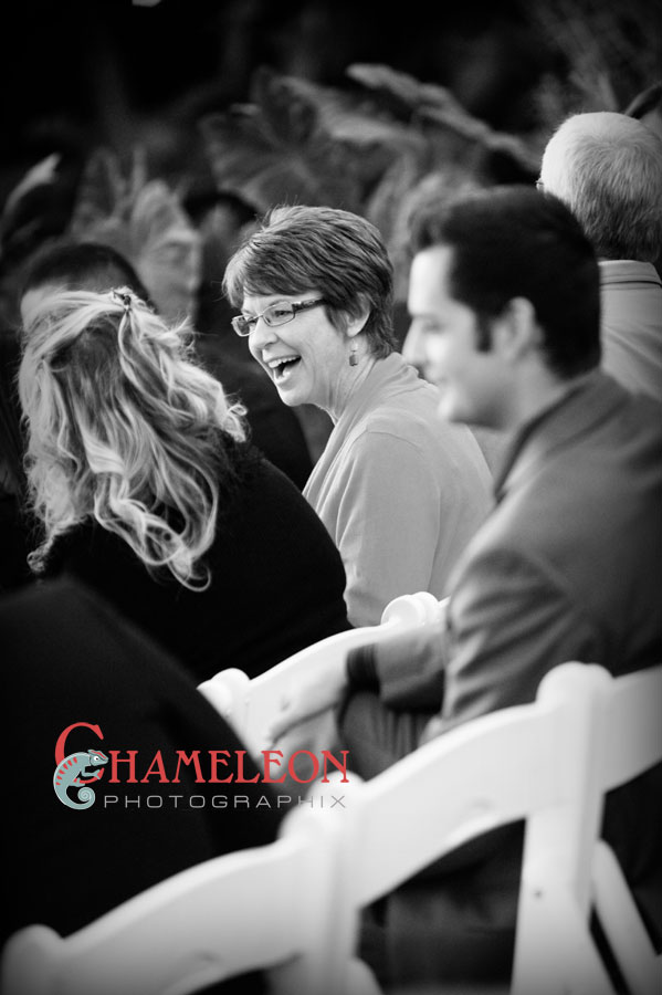 0283 0283 - Chameleon Photographix