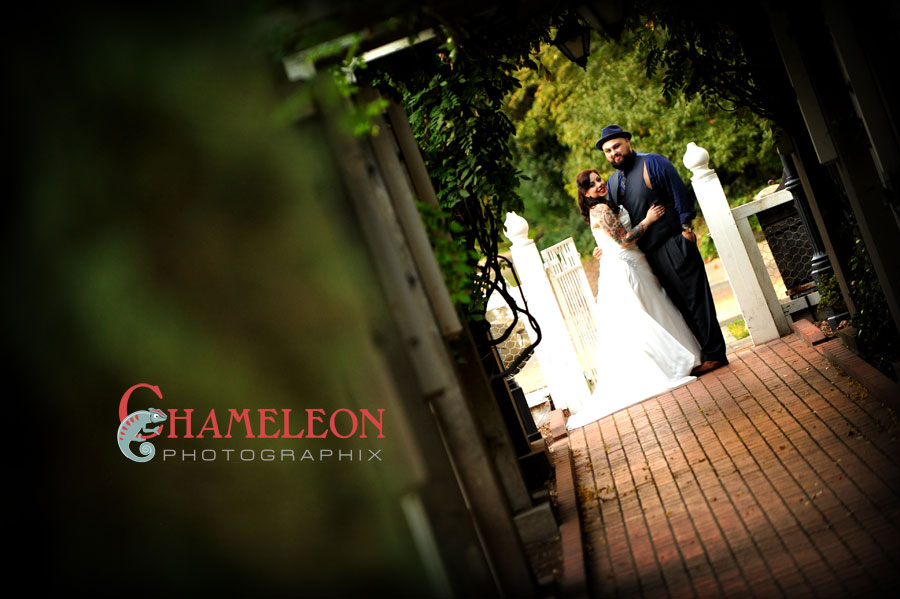 0376 0376 - Chameleon Photographix