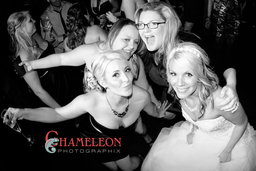 0381 0381 - Chameleon Photographix