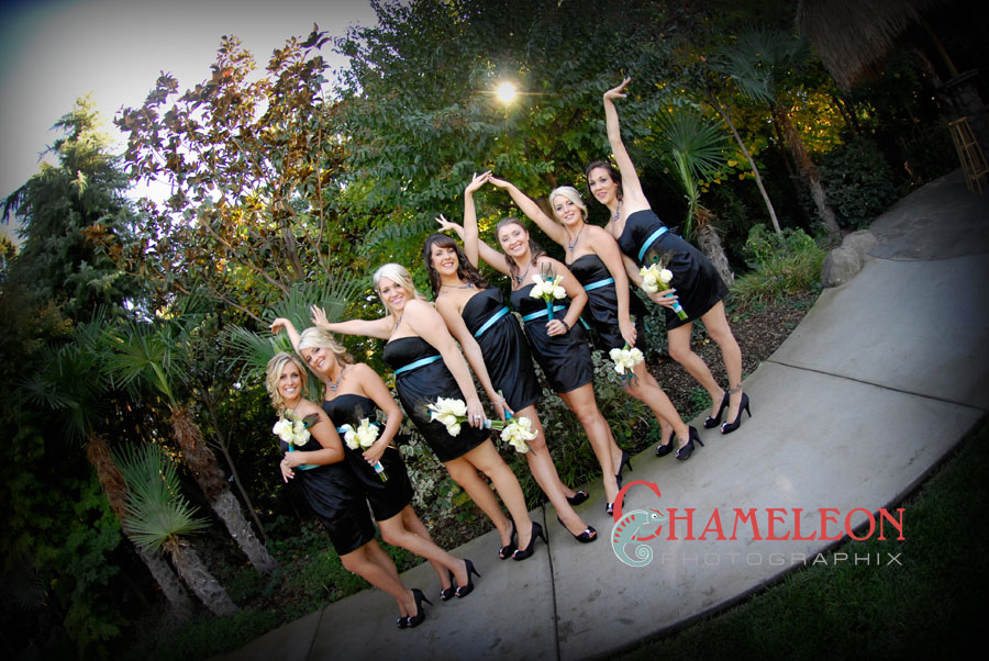 0427 0427 - Chameleon Photographix