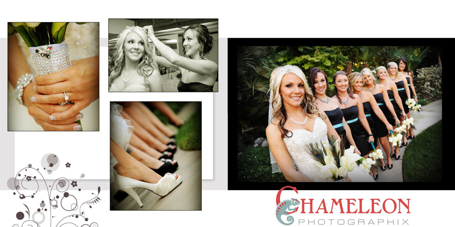 Page008 Page008 - Chameleon Photographix