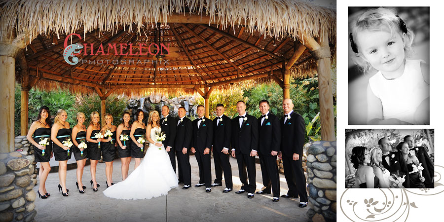 Page013 Page013 - Chameleon Photographix