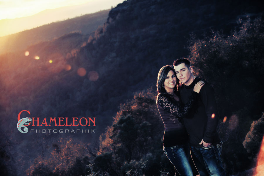 Dsc_9979A-Copy Dsc 9979A Copy - Chameleon Photographix
